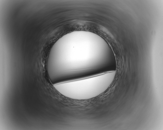 X0000099401013200805081237