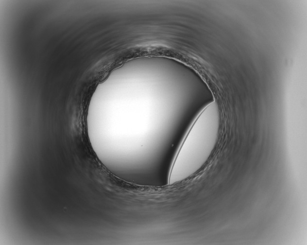 X0000099401014200805081237