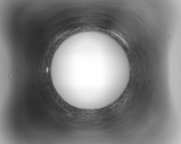 X0000099401015200805081237