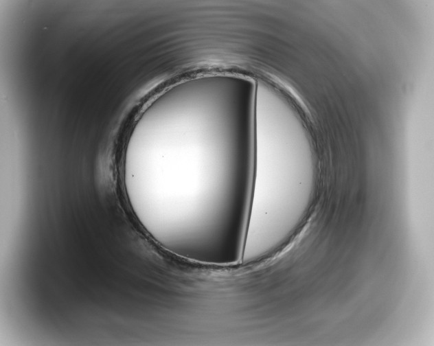 X0000099401018200805081237