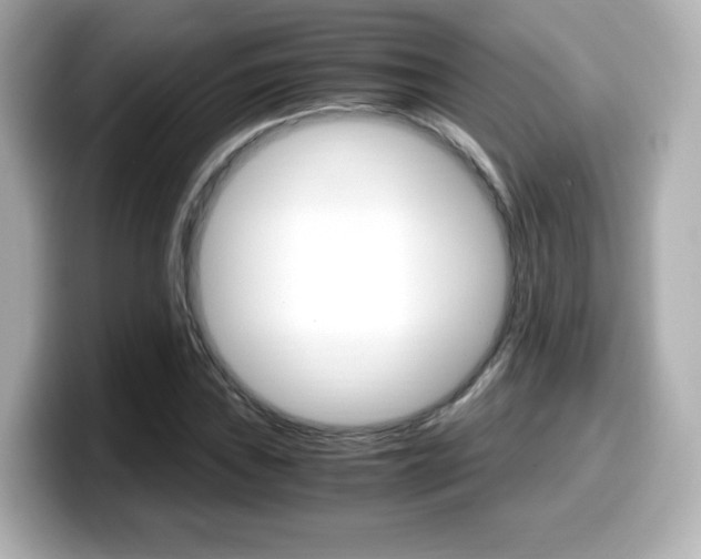 X0000099401019200805081237