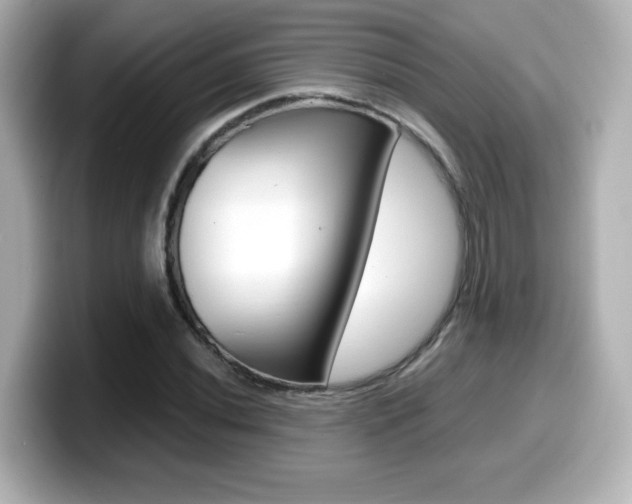 X0000099401020200805081237