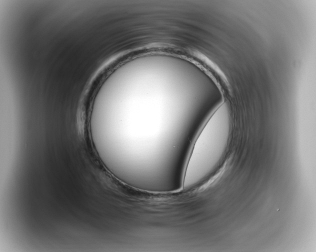 X0000099401021200805081237