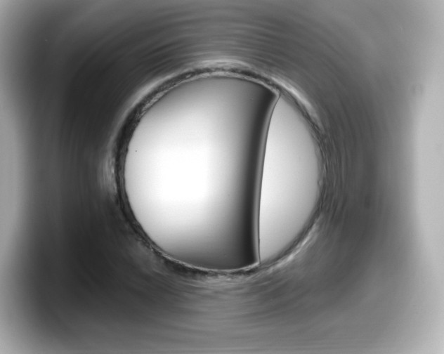 X0000099401022200805081237