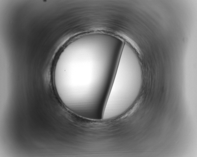 X0000099401023200805081237