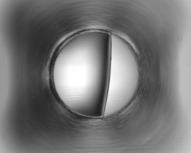 X0000099401024200805081237