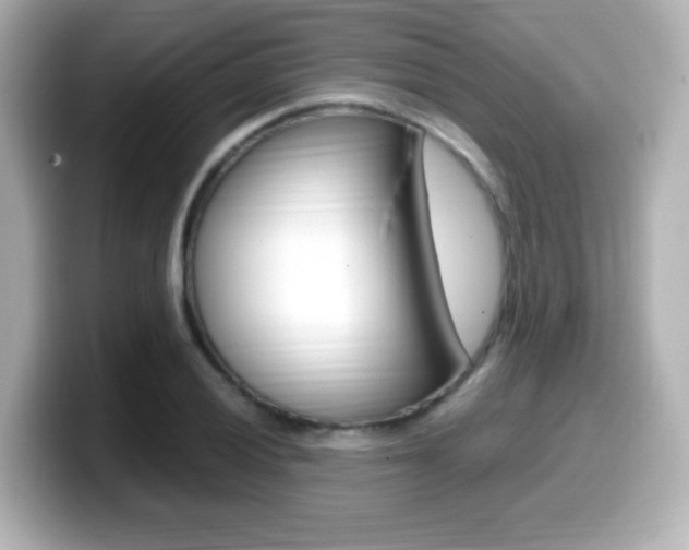 X0000099401028200805081237