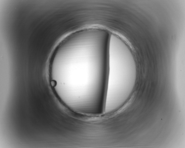 X0000099401038200805081237