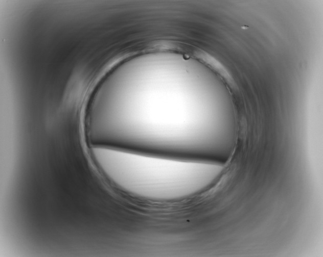 X0000099401039200805081237