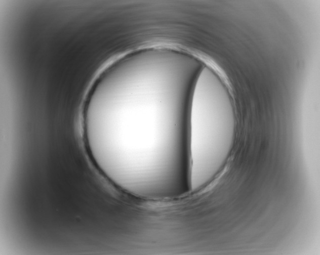 X0000099401040200805081237