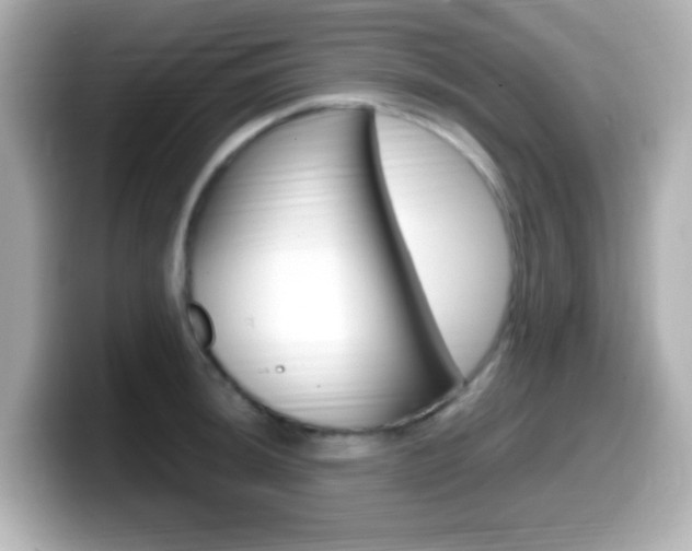 X0000099401044200805081237
