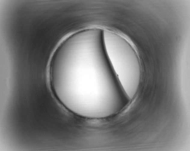 X0000099401048200805081237