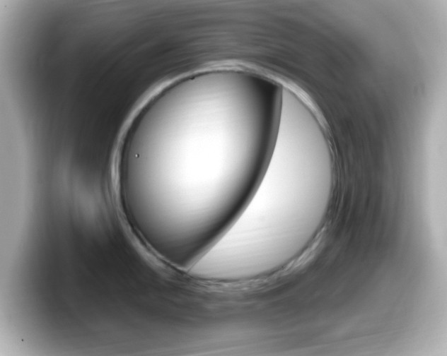 X0000099401054200805081237