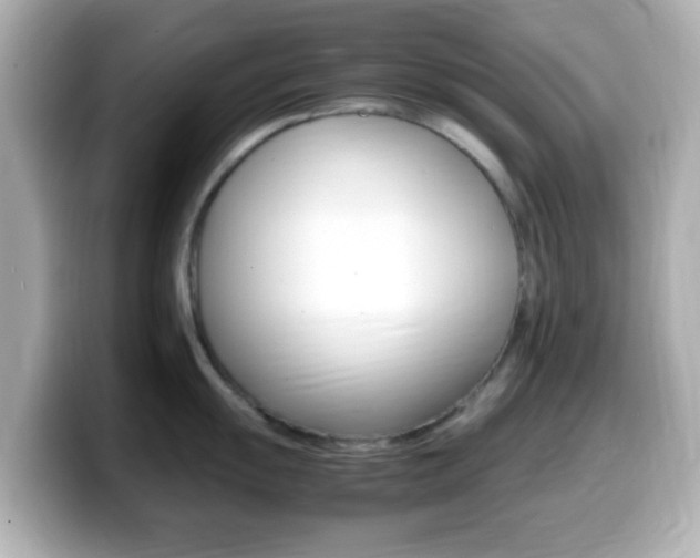 X0000099401055200805081237