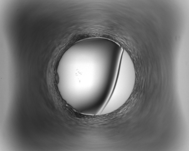X0000099401057200805081237