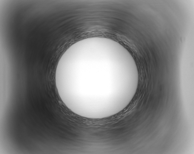 X0000099401060200805081237