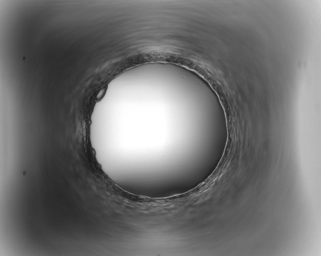 X0000099401061200805081237