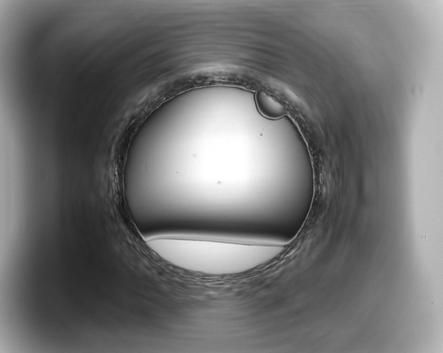 X0000099401062200805081237