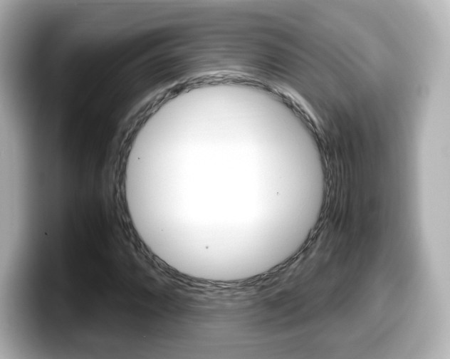 X0000099401064200805081237