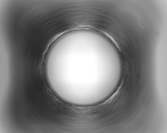 X0000099401066200805081237