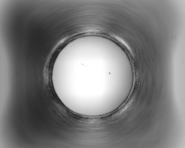 X0000099401067200805081237