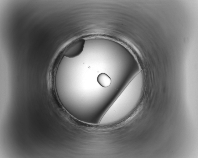 X0000099401069200805081236