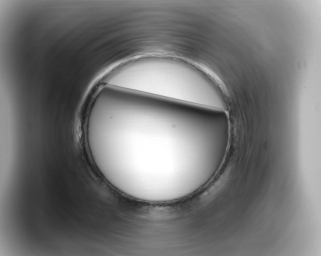 X0000099401070200805081236