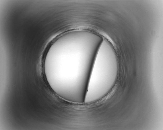 X0000099401071200805081236