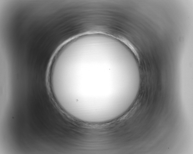 X0000099401072200805081236