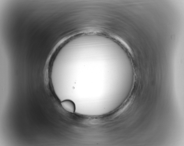 X0000099401075200805081236