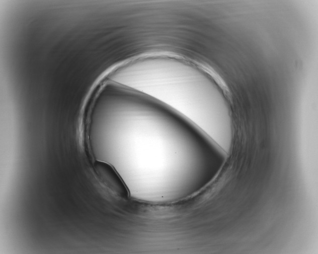 X0000099401076200805081236