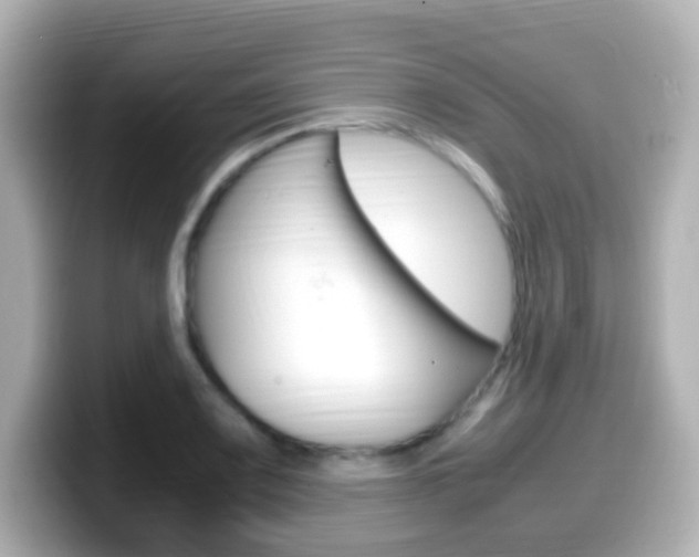 X0000099401083200805081236
