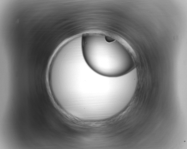 X0000099401084200805081236