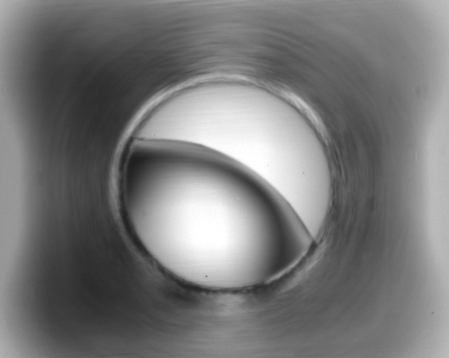 X0000099401085200805081236