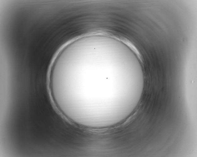X0000099401088200805081236
