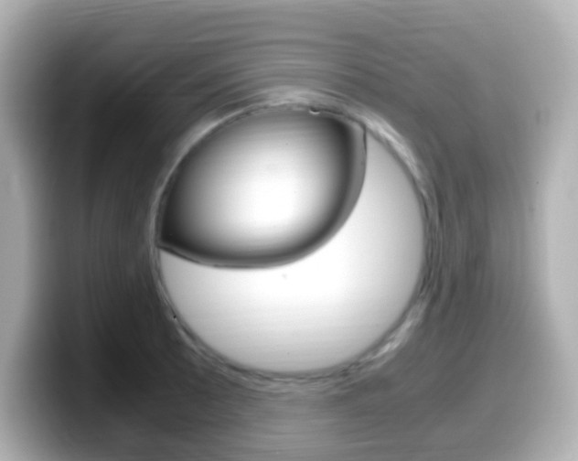 X0000099401089200805081236