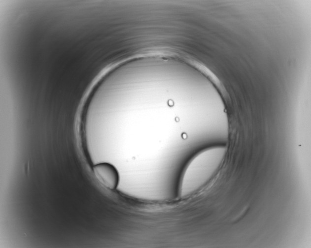 X0000099401091200805081236