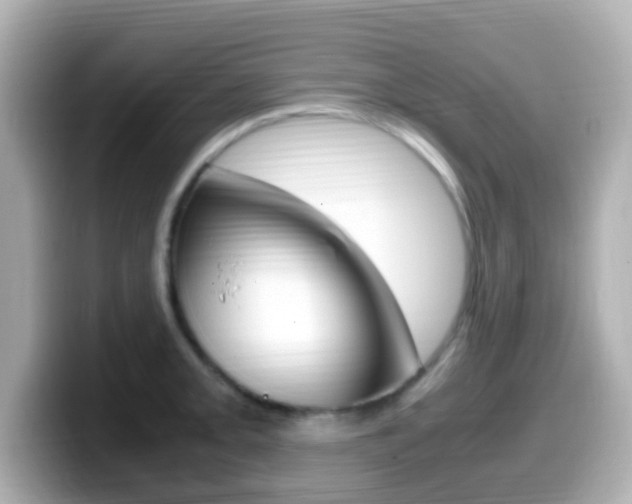 X0000099401093200805081236