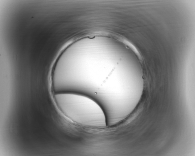 X0000099401095200805081236