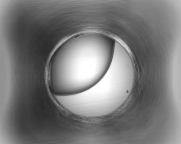X0000099401101200805081236