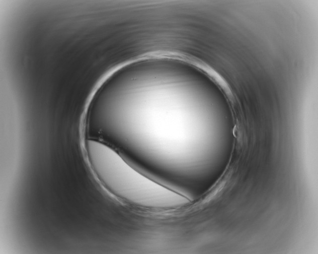 X0000099401102200805081236