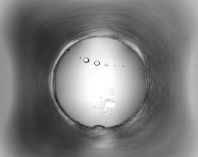 X0000099401103200805081236