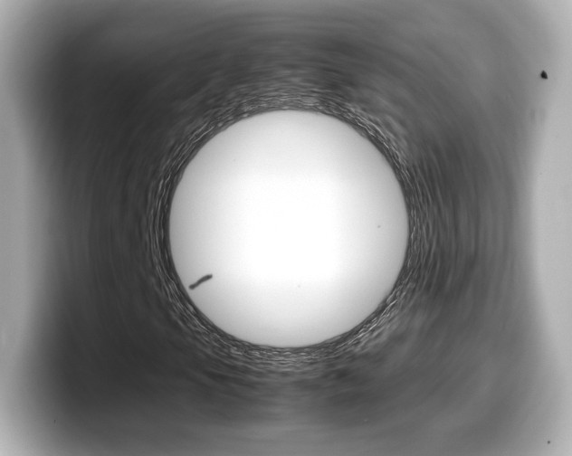 X0000099401105200805081235