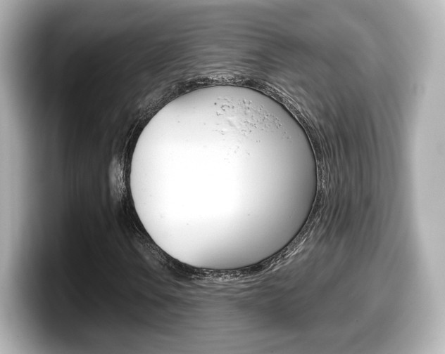 X0000099401106200805081235