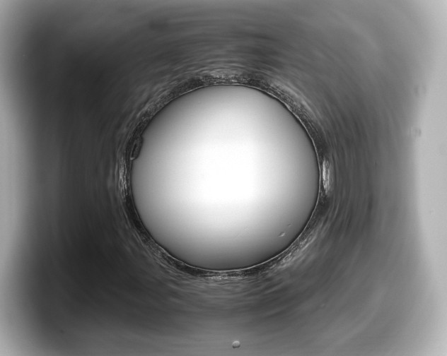 X0000099401107200805081235