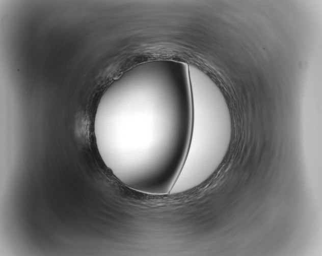 X0000099401108200805081235