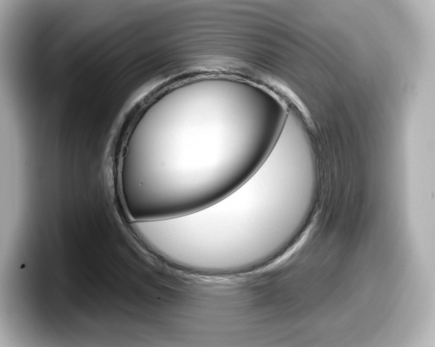 X0000099401114200805081236