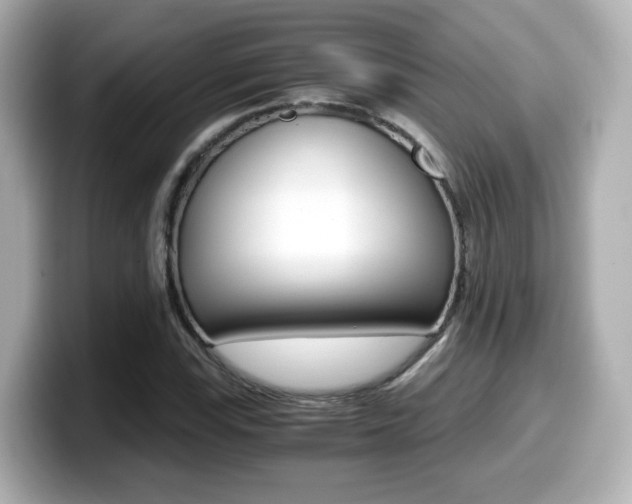 X0000099401115200805081236