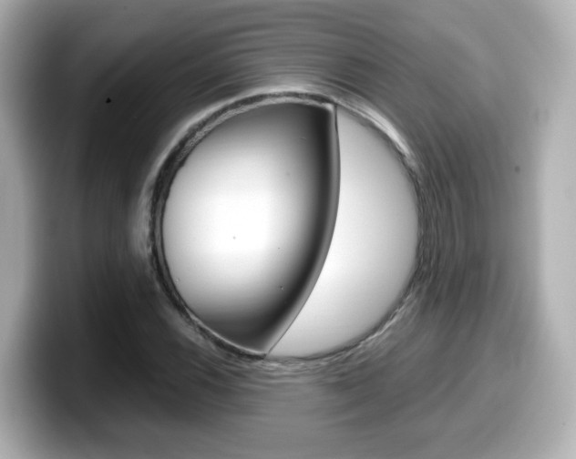 X0000099401116200805081236