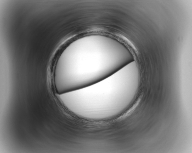 X0000099401117200805081236